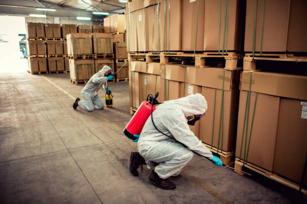 Best Termite Control Services  in Aldan, PA