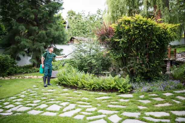 Best Pest Inspection Near Me  in Aldan, PA
