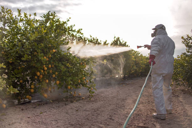 Best Mosquito Control Services  in Aldan, PA