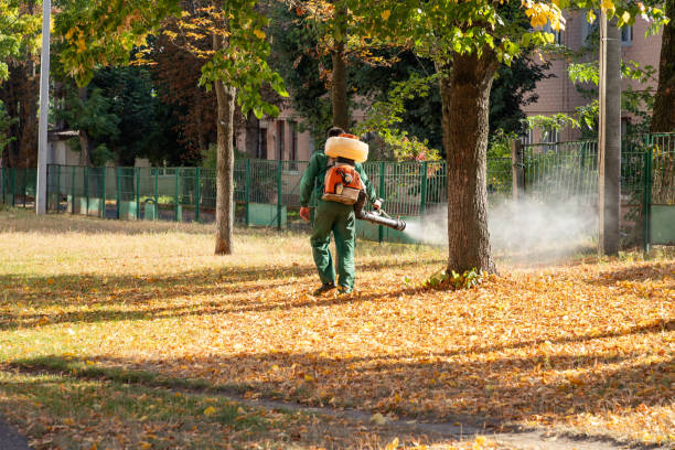 Best Pest Control Near Me in Aldan, PA