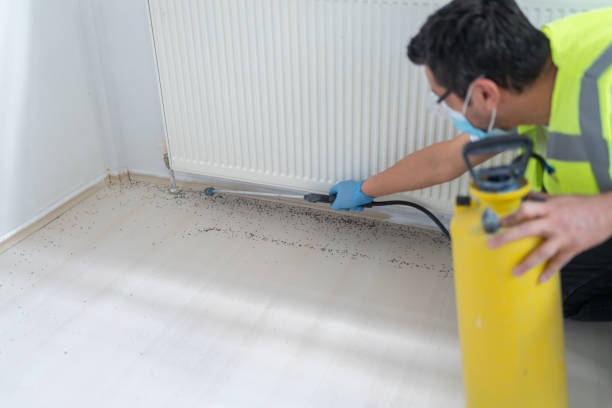 Best Insect Control  in Aldan, PA
